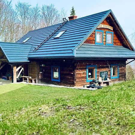 Chata Pod Jaworem Висла Экстерьер фото